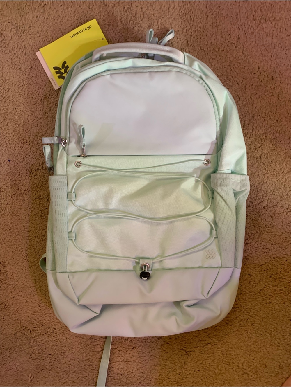 all in motion Mint Green unisex Backpack - Streamlined Everyday Pack